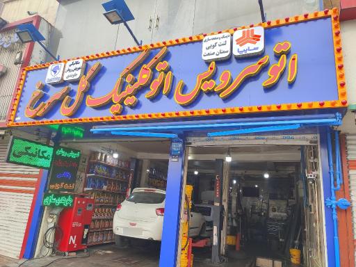 عکس اتوکلینیک گل سرخ