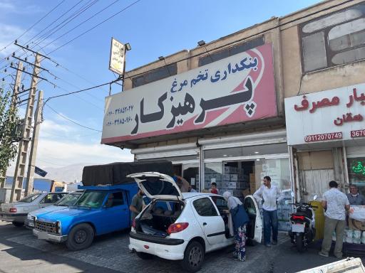 عکس بنکداری تخم مرغ پرهیزکار