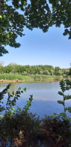 عکس دریاچه شهید سعید داربلوطی