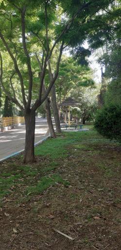 عکس دریاچه شهید سعید داربلوطی