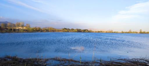 عکس دریاچه شهید سعید داربلوطی