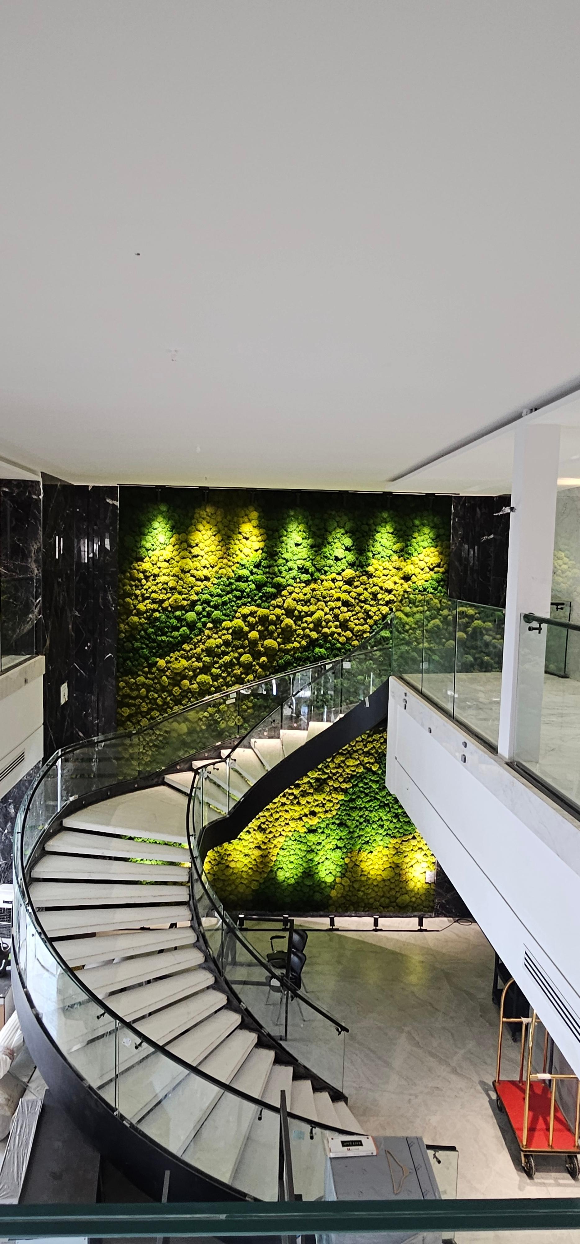 عکس آریا گلس