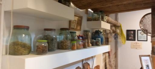 عکس موزه جهرم