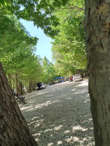 عکس تفرجگاه پردیس