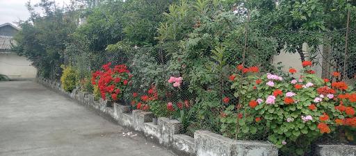 عکس مسجد پیرسرا