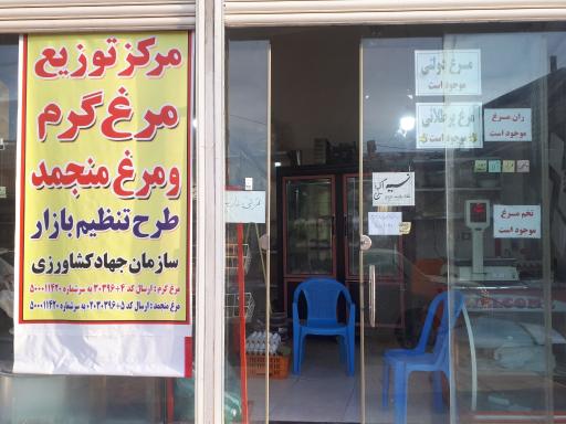 عکس فروشگاه مرغ و ماهی بابایی