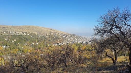 سیلوار