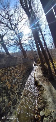 عکس سیلوار