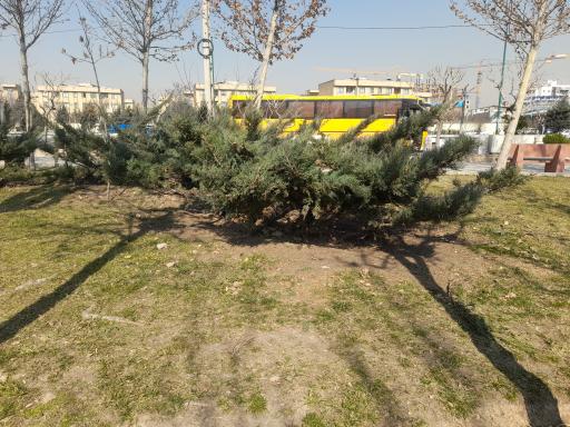 عکس بوستان قباد