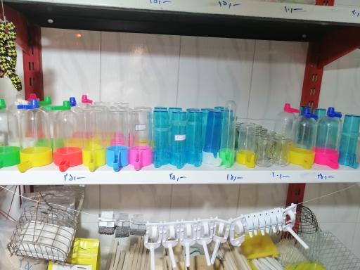 عکس پرنده سرای کاردینال 