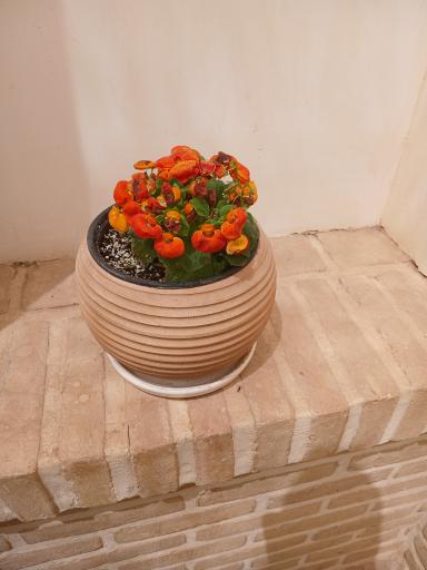 عکس خانه تاریخی محقق الدوله