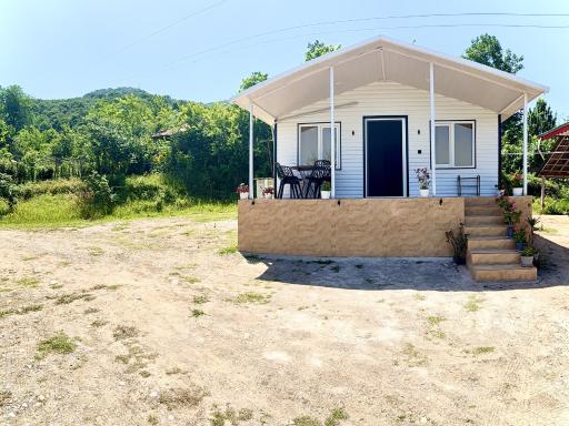 عکس اقامتگاه جنگلی سوجان 