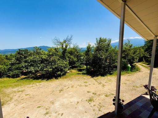 عکس اقامتگاه جنگلی سوجان 