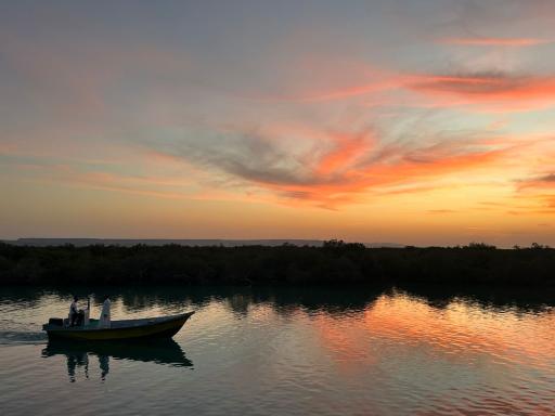 عکس منطقه حفاظت شده جنگل حرا