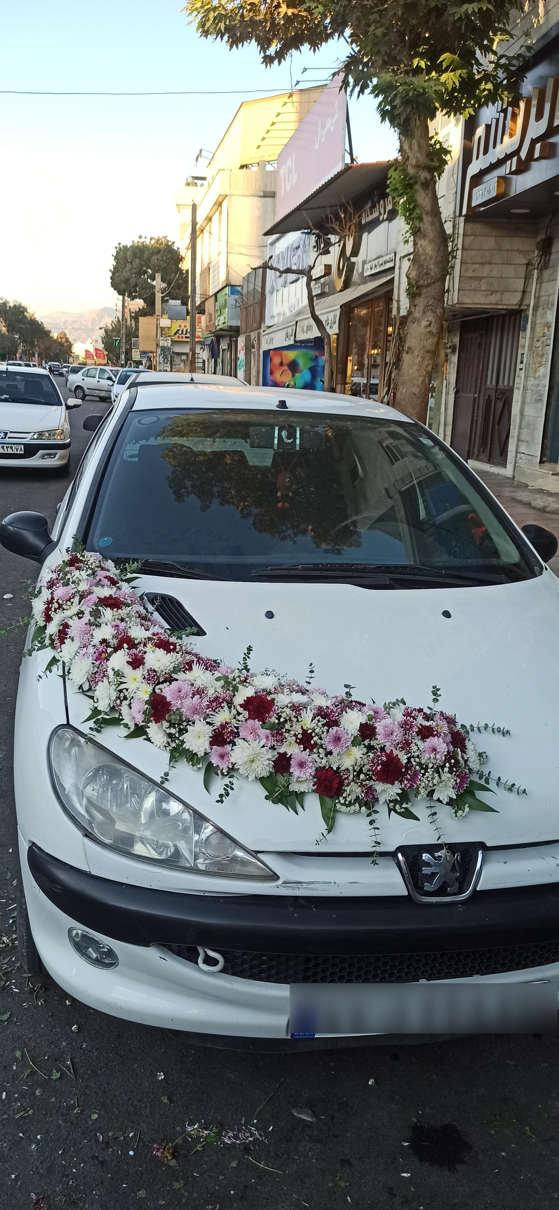 عکس گلفروشی ارکیده