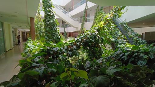 عکس مجتمع نوآوران 