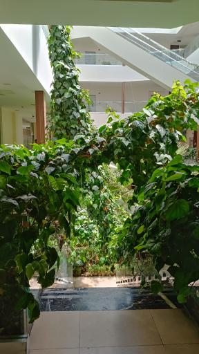 عکس مجتمع نوآوران 