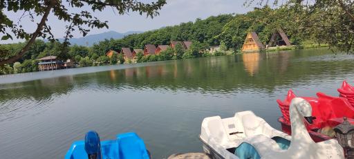 عکس ویلاهای سوئیسی گیسوم