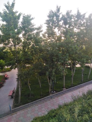 عکس پارک لاله