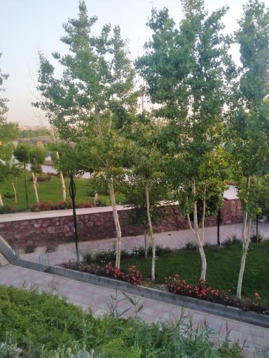عکس پارک لاله