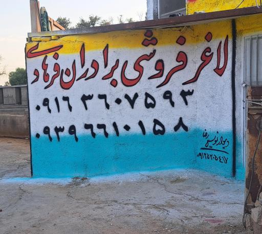 عکس لاغرفروشی برادران فرهادی