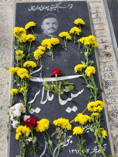 عکس آرامگاه سینا ملایری