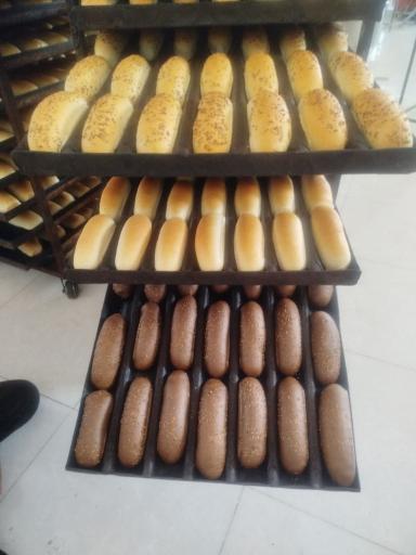 عکس نان فانتزی تیرازیس