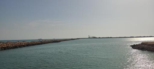 عکس نَخل تَقی