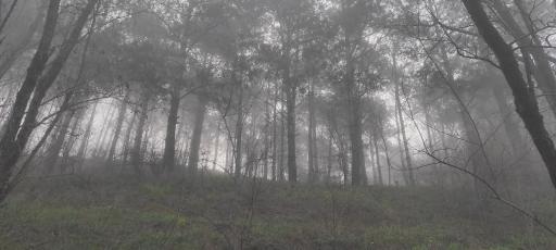 عکس تپه های هزار پیچ گرگان