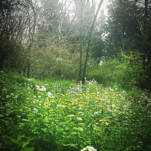 عکس تپه های هزار پیچ گرگان