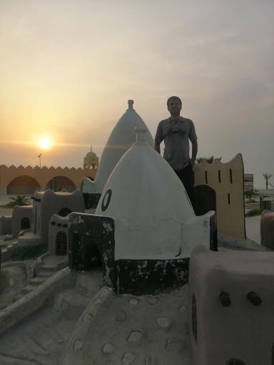 عکس نخل تقی