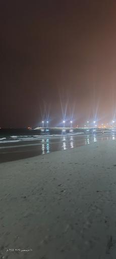 عکس نخل تقی