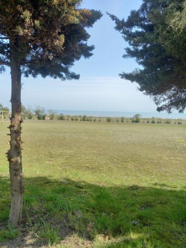 عکس سنگاچین