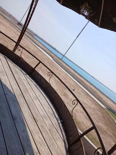 عکس نَخل تَقی