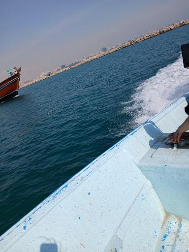 عکس نخل تقی