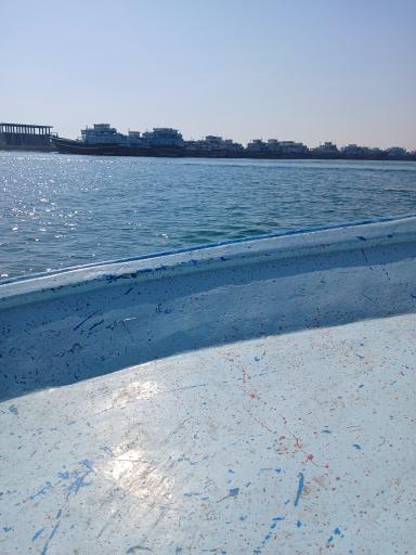 عکس نَخل تَقی