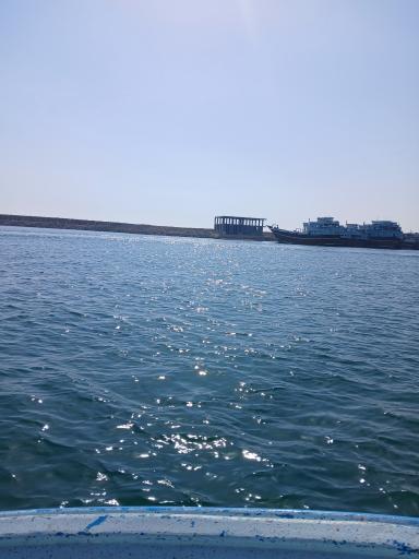 عکس نخل تقی