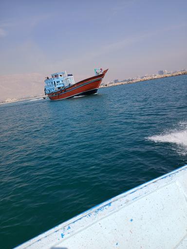 عکس نَخل تَقی