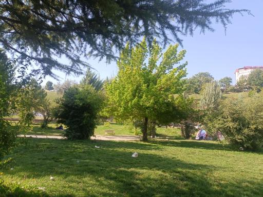 عکس بوستان ساحلی