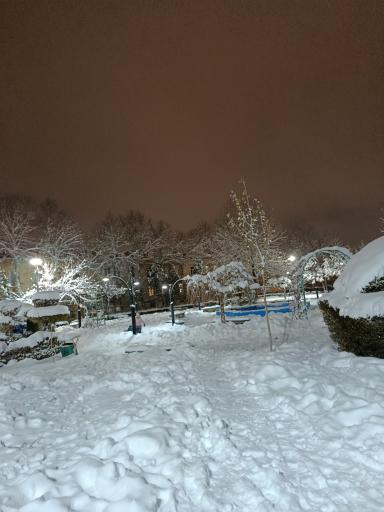 عکس بوستان پونه
