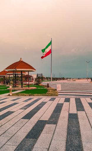 عکس نخل تقی