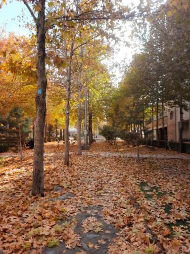 عکس بوستان پونه