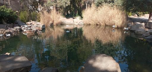 عکس برکه باغ ارم