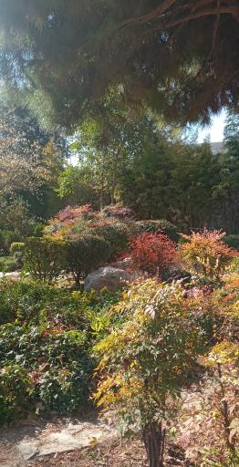 عکس برکه باغ ارم