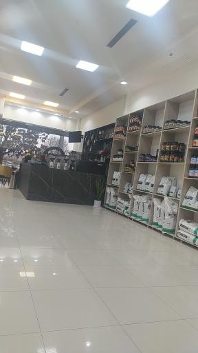 عکس کافه دایان 