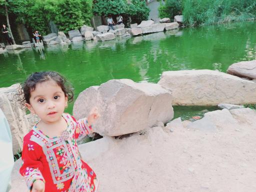 عکس برکه باغ ارم