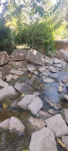 عکس برکه باغ ارم