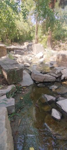 عکس برکه باغ ارم