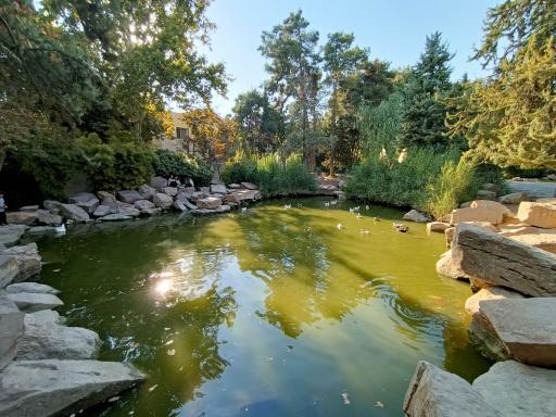 عکس برکه باغ ارم