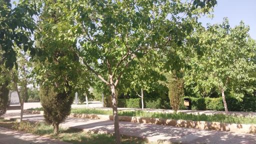 عکس بوستان مادر